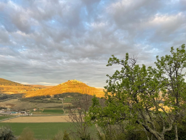Bild: 
